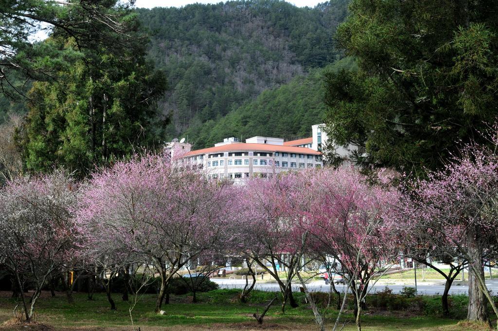 Hoya Resort, Wuling Heping  Eksteriør billede